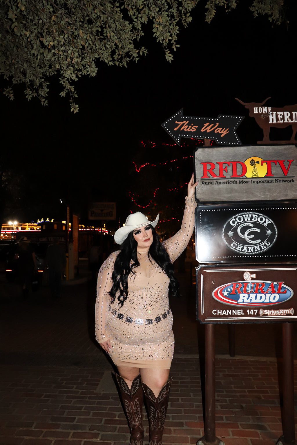 Abilene rhinestone dress | PLUS